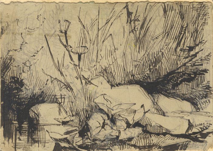 Early 20th Century Pen and Ink Drawing - Vegetation
