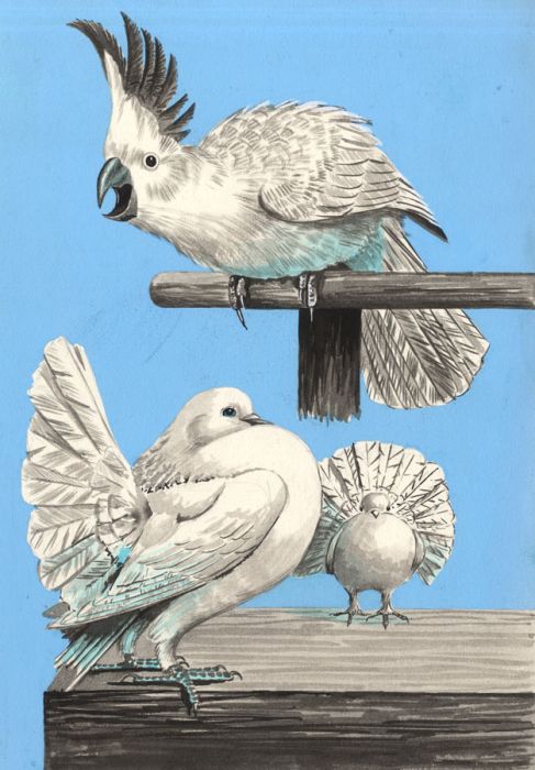 1977 Gouache - Our Feathered Friends Illustration, "Toby Annual"