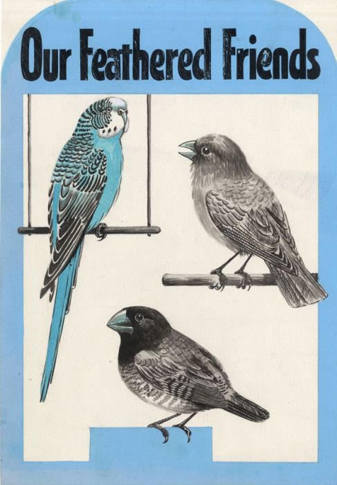 1977 Gouache - Our Feathered Friends Illustration, "Toby Annual"