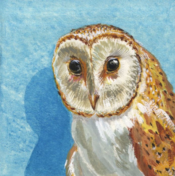 Mid 20th Century Gouache - Barn Owl Illustration
