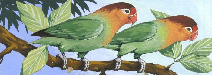 1983 Gouache - Lovebirds Illustration, "Look & Learn" Magazine