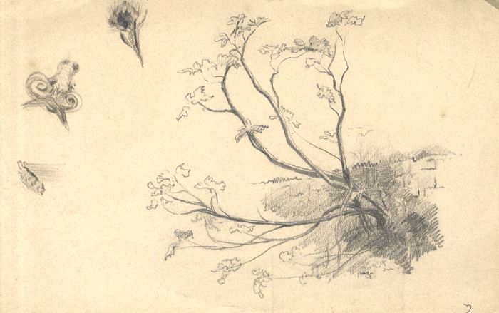 19th Century Graphite Drawing - Sketches