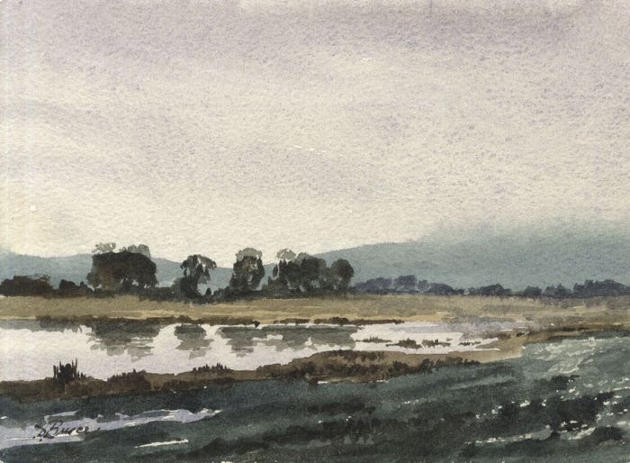 Duncan Bruce - 1993 Watercolour, Wild Brooks