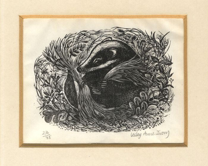 Lesley Anne Ivory - Mid 20th Century Wood Engraving, Badger