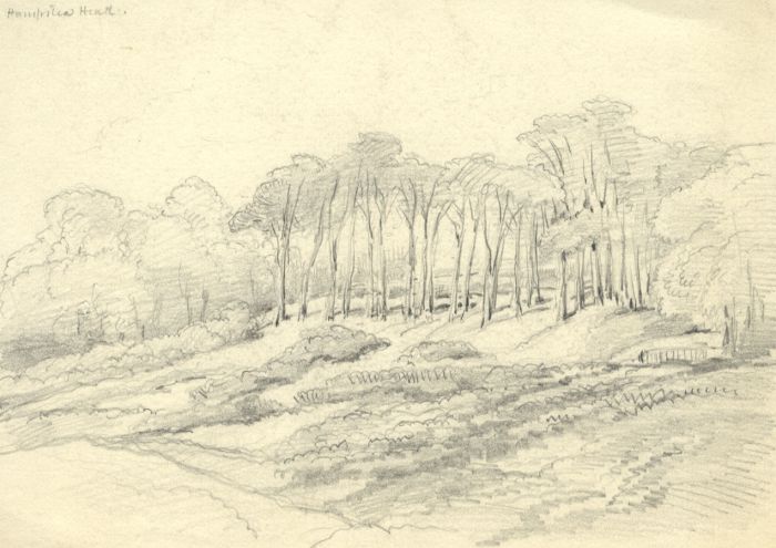 Rev Henry Robinson Wadmore - 19th Century Graphite Drawing, Hampstead Heath