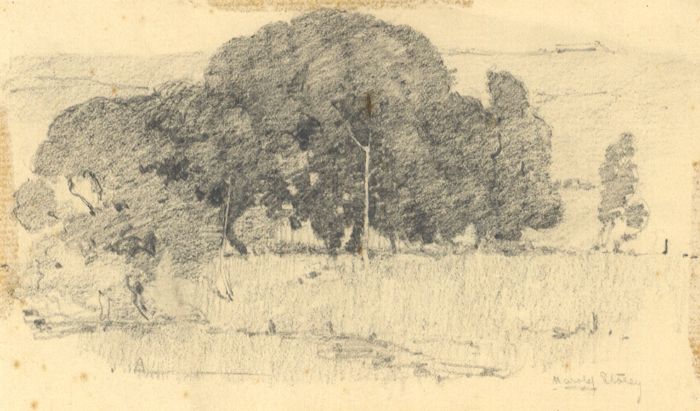 Stacey - 19th Century Graphite Drawing, Trees