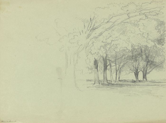 Rev Henry Robinson Wadmore - 19th Century Graphite Drawing, Trees