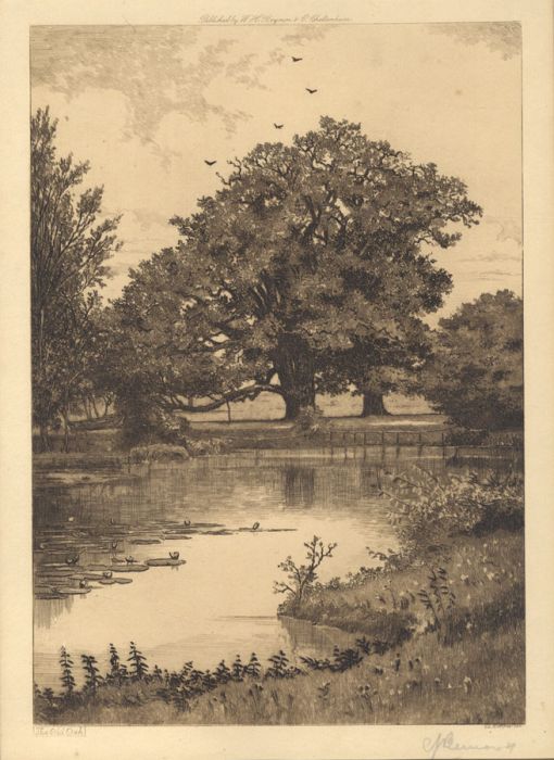 Edward John Burrow - 1900 Etching, The Old Oak