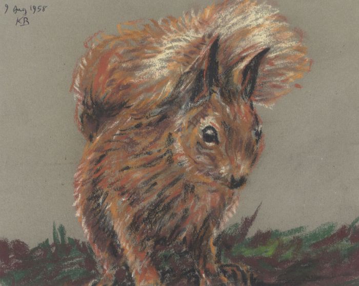 Keith Burtonshaw - 1958 Pastel, Red Squirrel