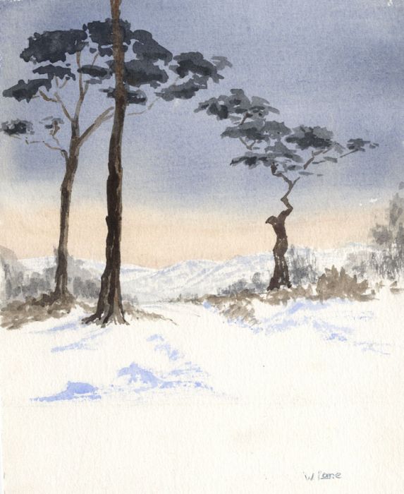 Win Lane - Contemporary Watercolour, Winter Landscape