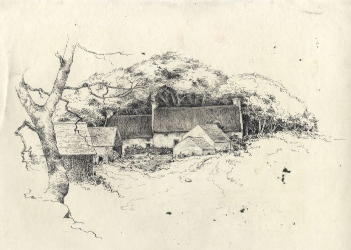 Early 20th Century Pen and Ink Drawing - Farmstead