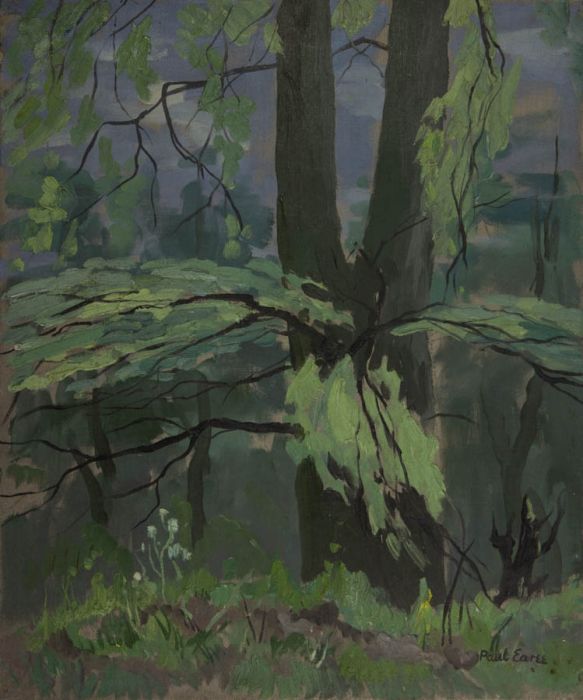 Paul Earee - Mid 20th Century Oil, Forest Scene