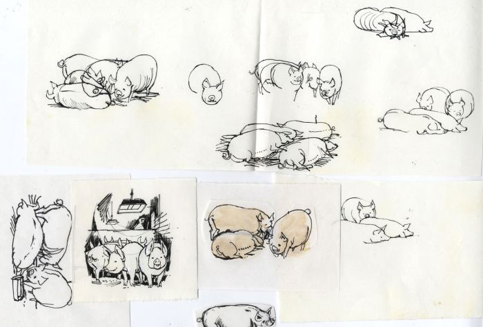 Paul Sharp - Set of 6 Mid 20th Century Pen and Ink Illustrations of Pigs