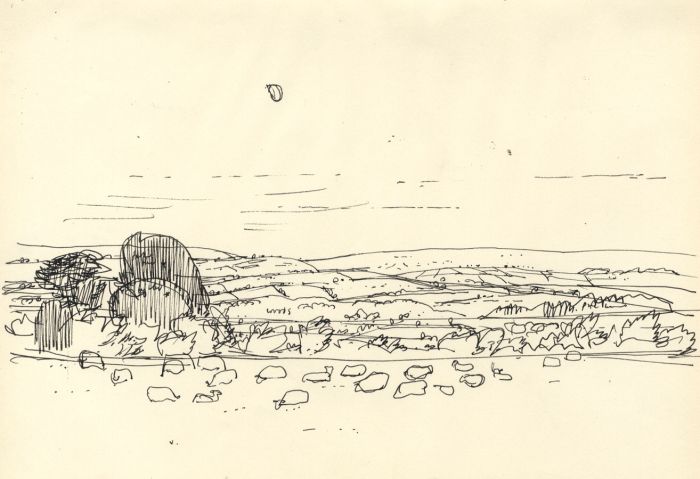 Paul Sharp - Mid 20th Century Pen and Ink Drawing, Fields with rocks.