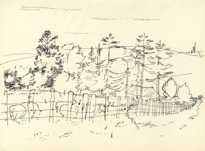 Paul Sharp - Mid 20th Century Pen and Ink Drawing, Sheep in field with trees.