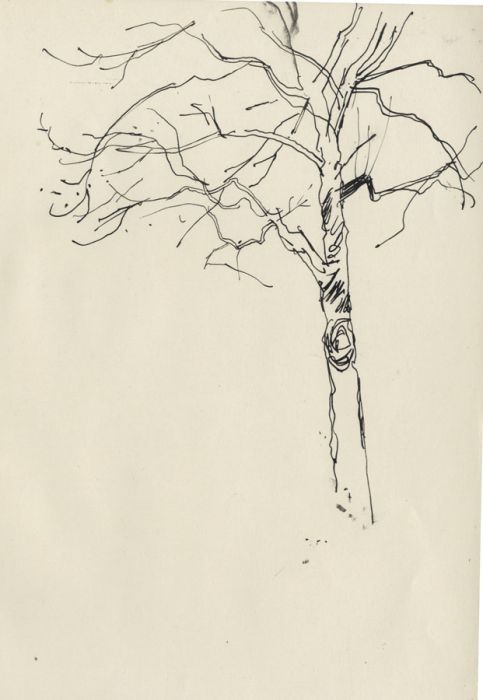 Paul Sharp - Mid 20th Century Pen and Ink Drawing, Tree