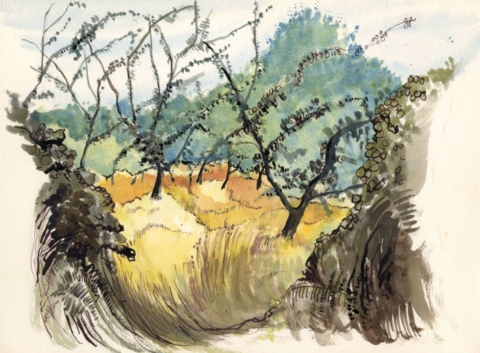 Antony Buckwell - Contemporary Watercolour, Meadow View