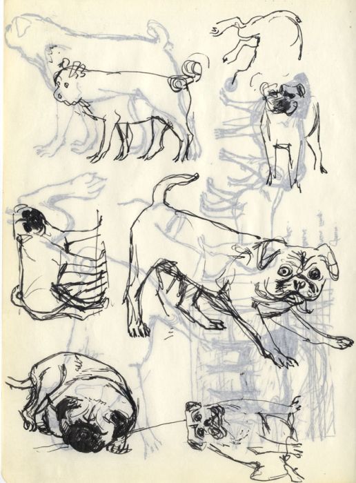 Paul Sharp - Set of Three 1956 Pen and Ink Drawings, Dog Studies
