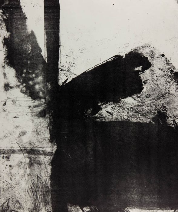 Peter Fitzsimons - Abstract Contemporary Lithograph