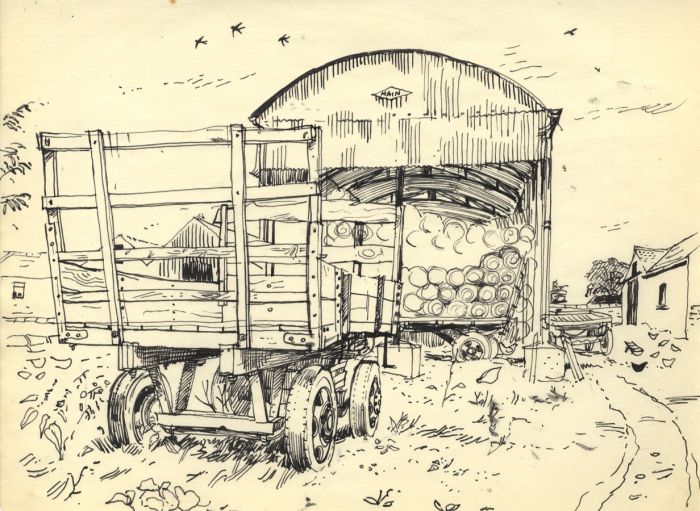 Paul Sharp - Mid 20th Century Pen and Ink Drawing, Barnyard