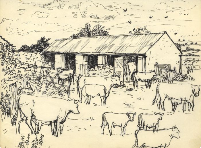 Paul Sharp - Mid 20th Century Pen and Ink Drawing, Cows in the Farmyard