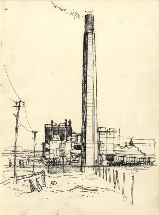 Paul Sharp - Mid 20th Century Pen and Ink Drawing, Solway Plant