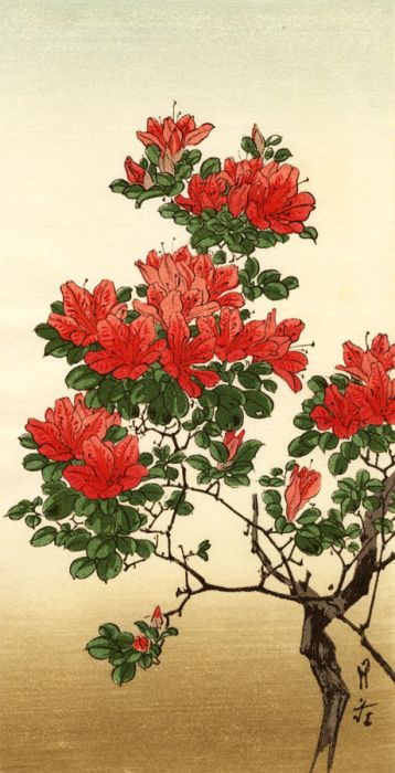 Mid 20th Century Japanese Woodblock - Blossom Tree
