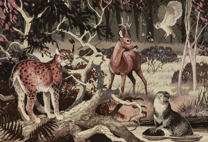 Arthur Oxenham - 1967 Gouache, Original Woodland Wildlife Illustration