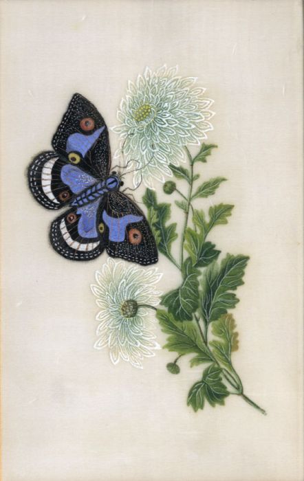 19th Century Gouache - Butterfly