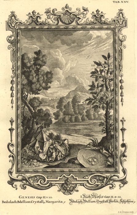 I.A. Corvinus - 1735 Engraving, Genesis, J.J. Scheuchzer's 'Physica Sacra'