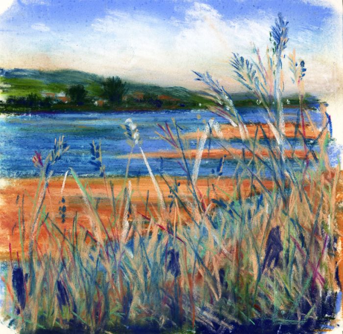 Contemporary Pastel - Coastal Scene With Reeds