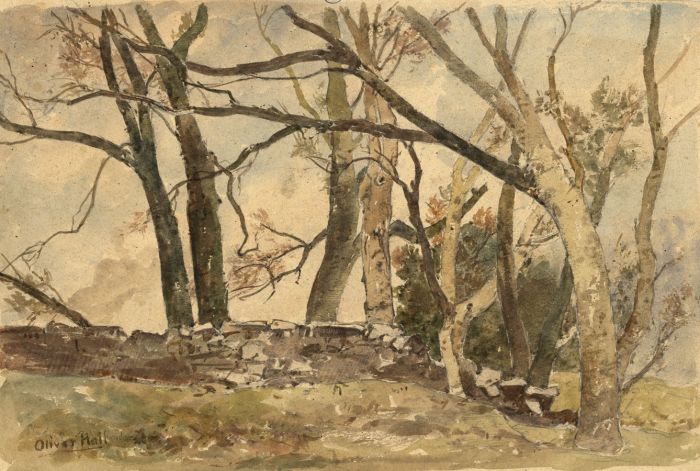 Oliver Hall RA RWS RE - Mid 20th Century Watercolour, Ash Stems at Holker