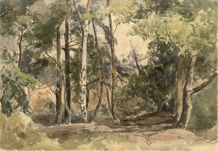 Oliver Hall RA RWS RE - Mid 20th Century Watercolour, Silver Birches