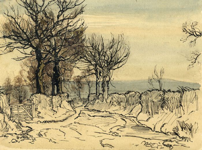 Oliver Hall RA RWS RE - Mid 20th Century Pen and Ink Drawing, Trees