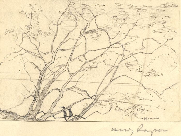 Rayner - 1928 Pen and Ink Drawing, St James's Park Lake