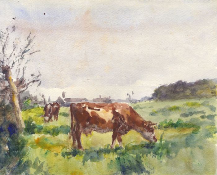 Alexander Brantingham Simpson RI - Early 20th Century Watercolour, Cattle