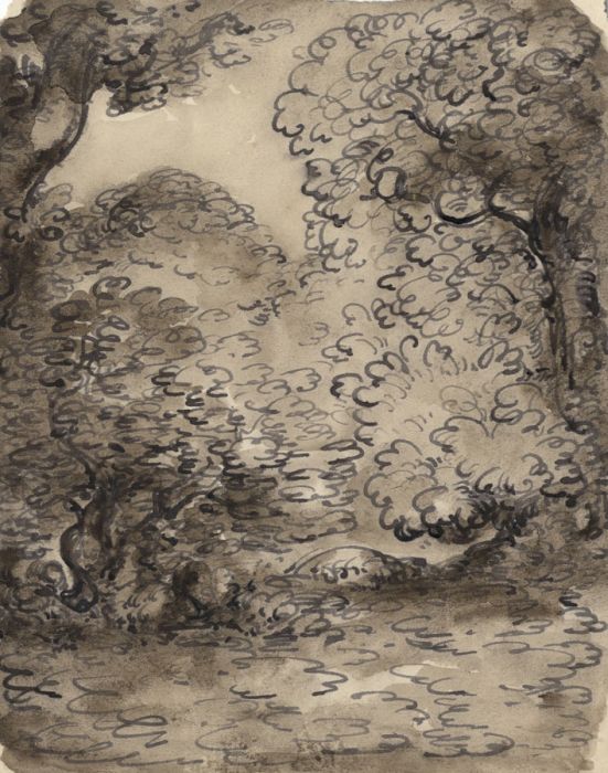 Early 20th Century Pen and Ink Drawing - Forest