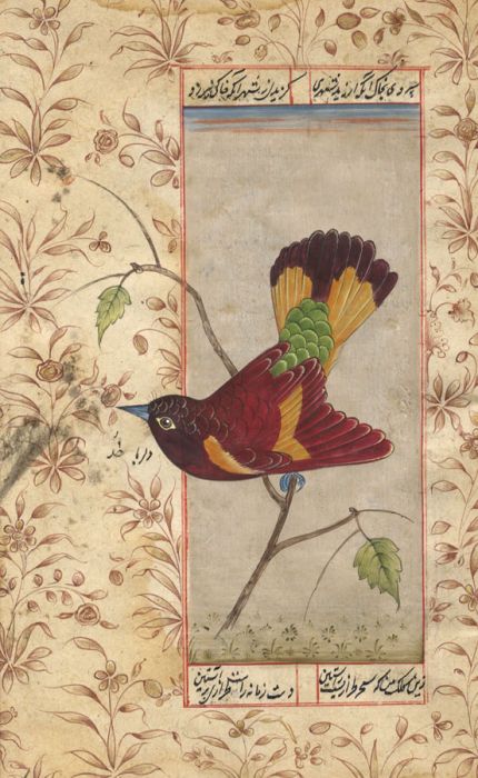 Indian School Early 20th Century Watercolour - Bird with Urdu Calligraphy