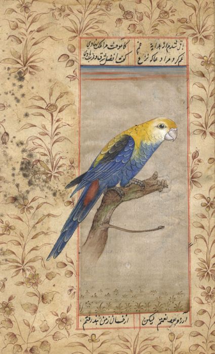 Indian School Early 20th Century Watercolour - Bird with Urdu Calligraphy