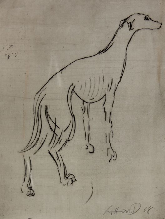 Allen D. - 1968 Etching, Greyhound