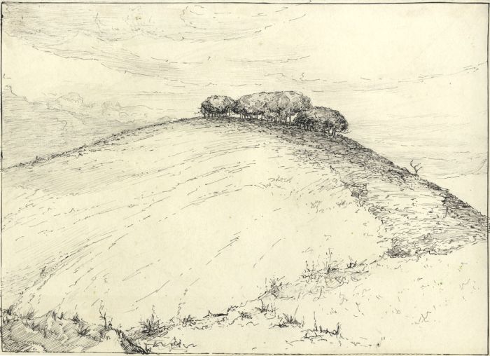 Marcus Adams - Early 20th Century Pen and Ink Drawing, Trees on a Hill