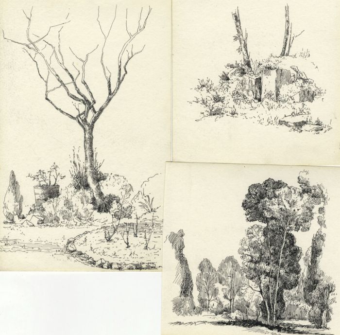 Marcus Adams - Set of Three Mid 20th Century Pen and Ink Drawings, Trees