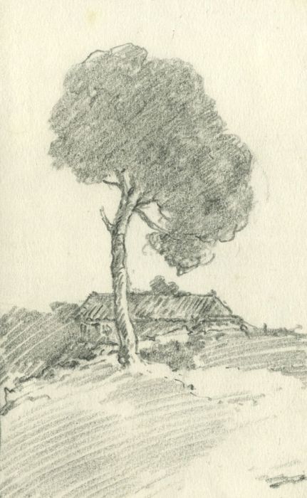 Marcus Adams (1875-1959) - Mid 20th Century Graphite Drawing, Landscape