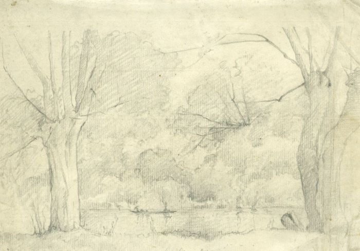 Marcus Adams - Mid 20th Century Graphite Drawing, Trees in a Lake Landscape