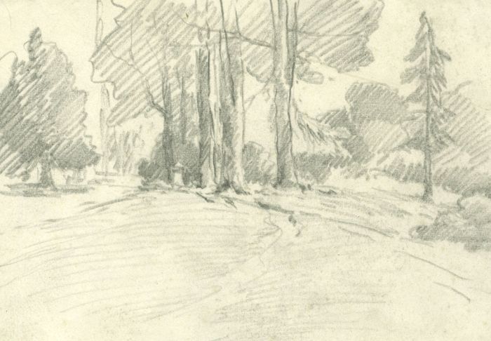 Marcus Adams - Mid 20th Century Graphite Drawing, Trees in a Landscape