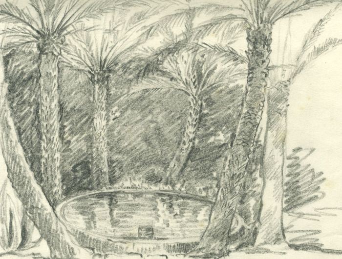 Marcus Adams (1875-1959) - Mid 20th Century Graphite Drawing, Palm Trees