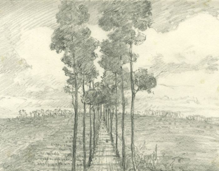 Marcus Adams (1875-1959) - Mid 20th Century Graphite Drawing, Tree Lined Path