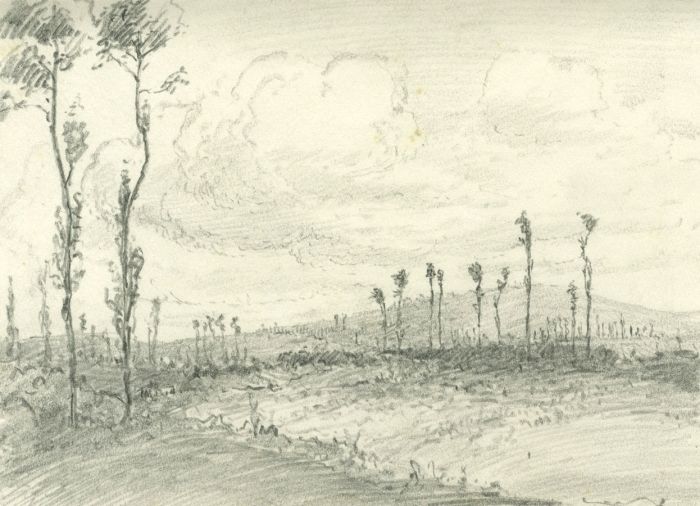 Marcus Adams - Mid 20th Century Graphite Drawing, Landscape with Trees