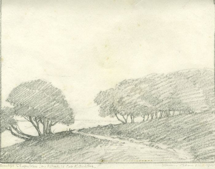 Marcus Adams (1875-1959) - 1925 Graphite Drawing, Antibes Landscape with Trees