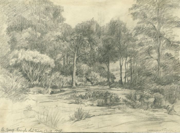 Marcus Adams (1875-1959) - 1957 Graphite Drawing, A Peep Through the Trees